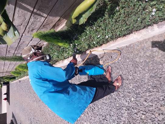 FUMIGATION solutions image 2