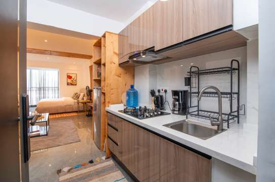 Furnished 1 Bed Apartment with En Suite in Riverside image 11