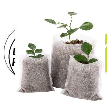 Biodegradable Planting/Nursery Bags image 1