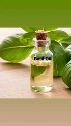 Basil Oil image 3
