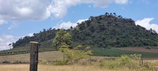 Land at Moi South Lake Road image 3