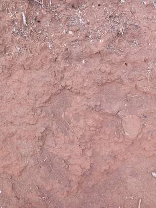 5 Acres red soil land for sale image 8