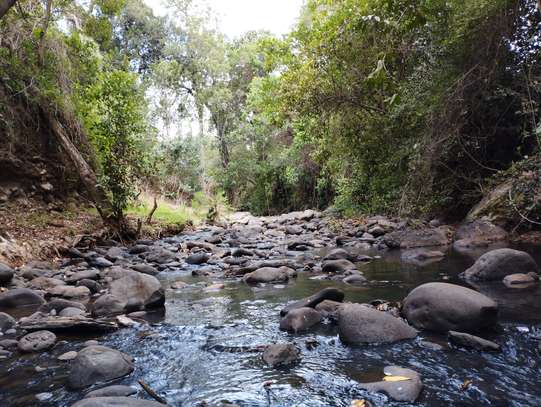 3 Bed House with En Suite at Kalalu image 10