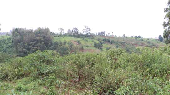 1.7 ac Commercial Land at Ruaka image 5