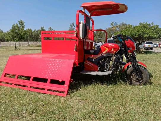 300 cc MECIN CARGO TUK TUK image 4