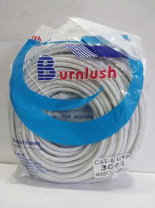 Cat-6 Ethernet Patch Cord (30 Meters) image 1