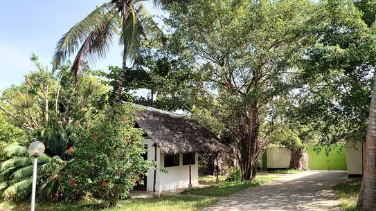 3 Bed House with Swimming Pool in Watamu image 4