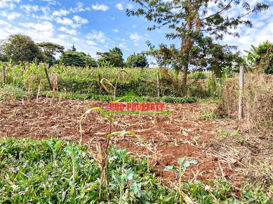0.05 ha Residential Land at Muthiga image 15