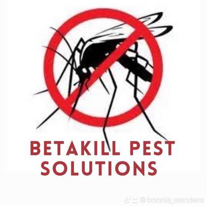 Pest control and fumigation services image 2