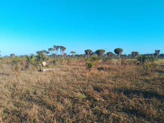 33 ac Commercial Land at Kiwengu image 5