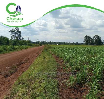 29 Acres For Sell Harambee Area, Kakamega County image 4