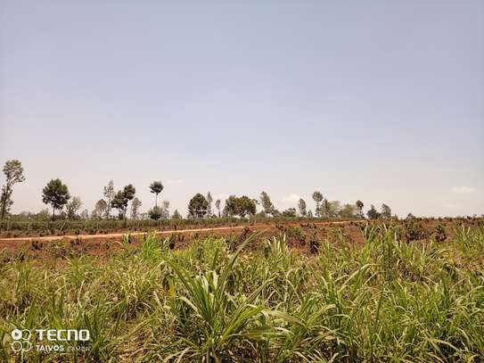0.5 ac Residential Land at Off Panafric Insurance Avenue image 4