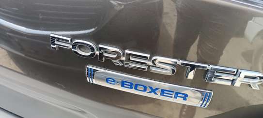Subaru Forester E-boxer Grey 2018 image 8