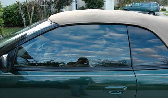 Window Tinting Service - Experienced and Reliable.Free No Obligation Quote. image 2