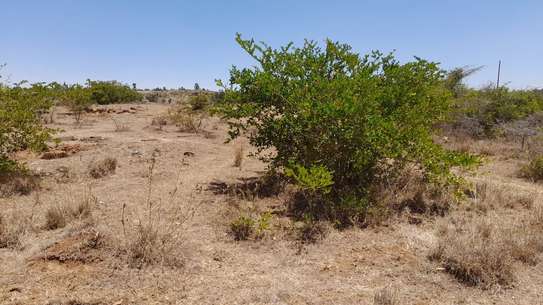 0.25 ac Land at Kipkorgot image 21