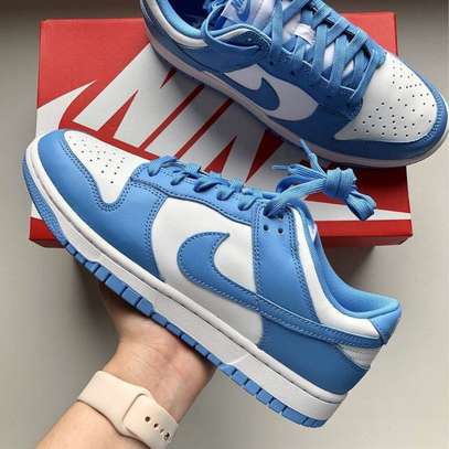 Unisex blue Nike Sb image 1