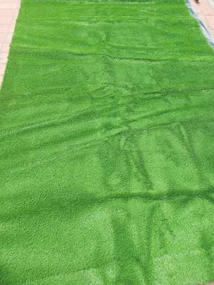 Grass carpets image 2