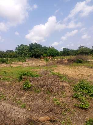 Malindi Msabaha Prime Plots For Sale image 2