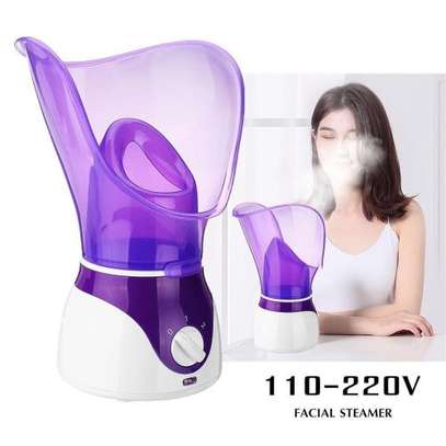 NTFS DEEP CLEANING FACIAL AND NASAL STEAMER image 1