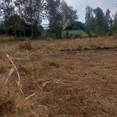 40*80ft plots for sale at Kenol town in Muranga county image 7