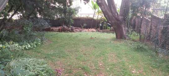 0.65 ac Residential Land at Mbaazi Avenue image 3