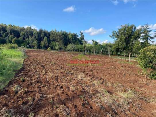 6,000 m² Land in Limuru image 23