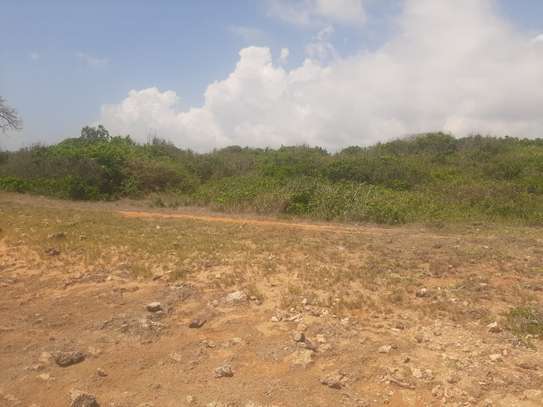 45 acre beach front plot at Funzi image 2
