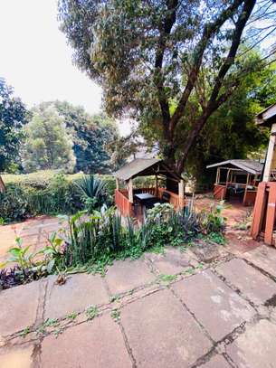 1 ac Land at Banana Raini Road image 9