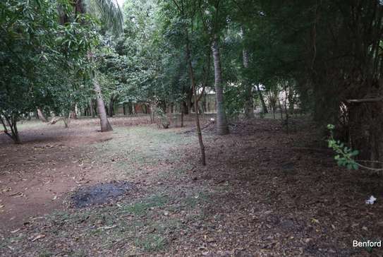 land for sale in Kikambala image 3