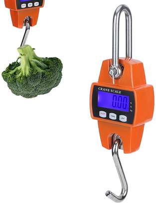300KG/660LBS Mini Crane Scale Industrial Hook Hanging Weight image 1