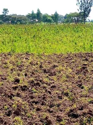 Opp Simba cement Gicheha Farm image 1