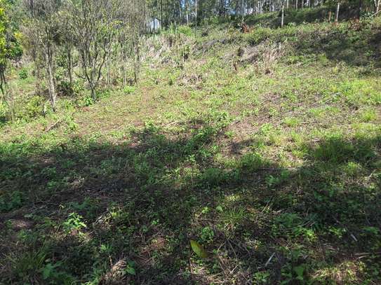 Lovely Quarter ( 1 / 4 ) Acre Land in Ngong image 9