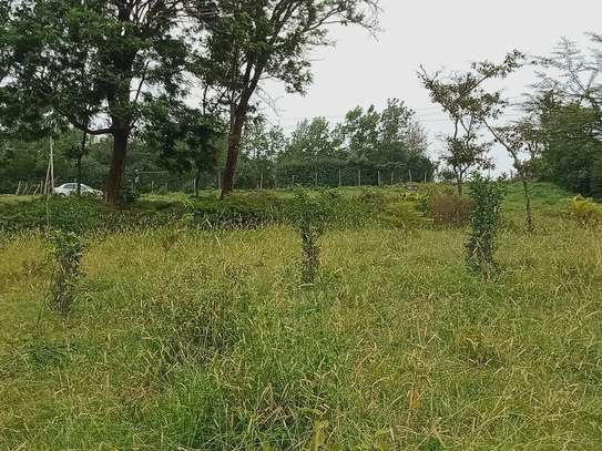 0.25 ac Land at Kibiko image 3