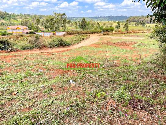 0.05 ha Residential Land at Ondiri image 6