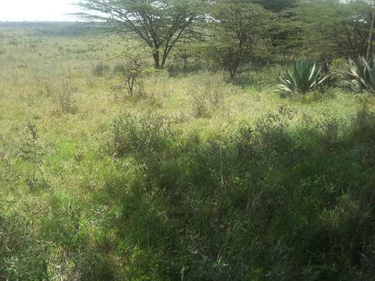 Lovely 4 Acre Land in Kiserian image 6