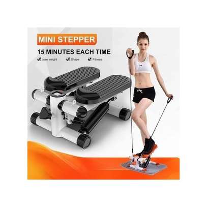 Mini Stepper Exercise Machine For Weight Loss image 1