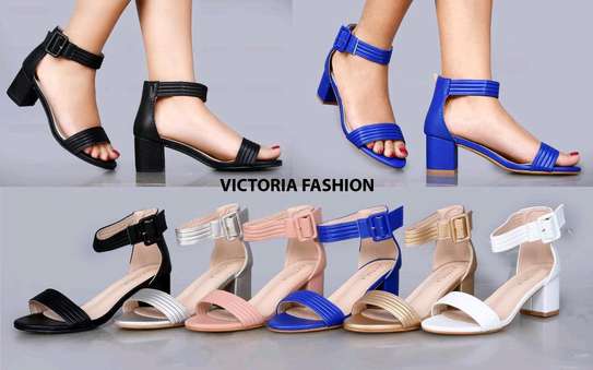 Victoria chunky heels image 1