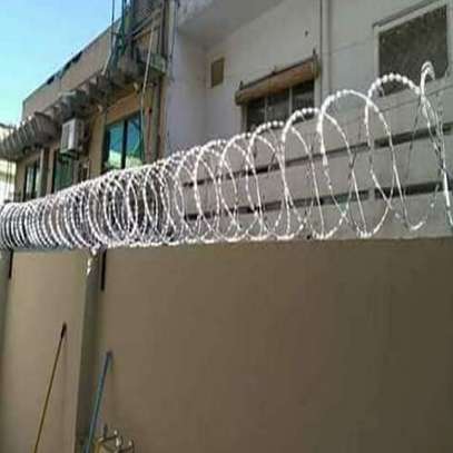 450 mm Double Galvanized Razor Wire Supplier in Kenya image 1