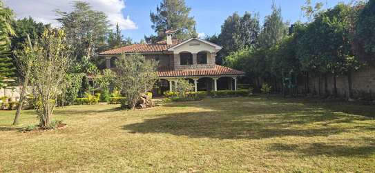 4 Bed House with En Suite at Plains 34 image 14