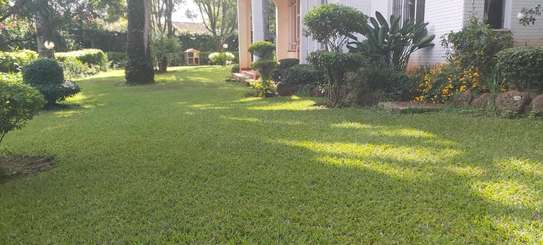Landscaping Services in Nairobi.Low Cost Garden Maintenance image 2