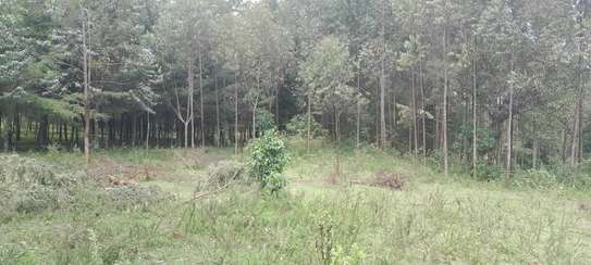 8 ACRES OF LAND ON SALE IN KAPKATET NANDI image 1