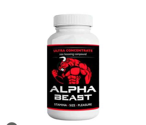 Alpha Beast image 4