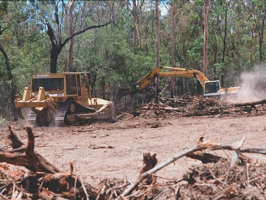 Land clearing services Mombasa image 2
