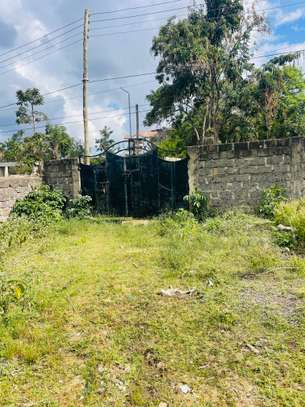 ½ ACRE LAND IN ROYSAMBU SAFI PARK HOTEL image 1