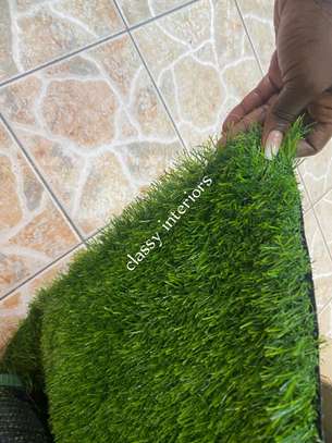 Grass carpet (2) image 1