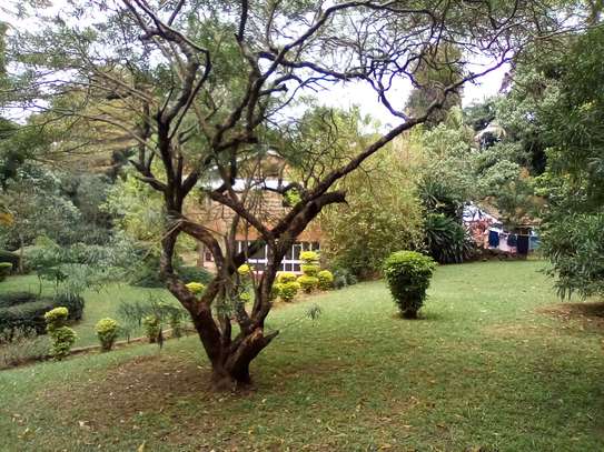 1.1-Acre Plot For Sale in Kyuna image 7