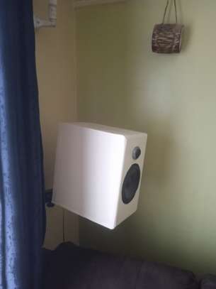 DIY Bookshelf Speakers image 2