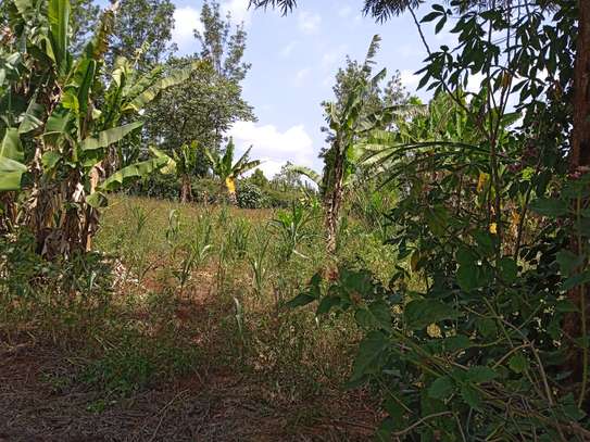 1/8 acre plots for sale - Ruiru, Kiambu image 1