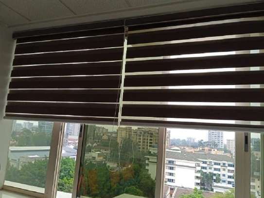 Sheer Zebra Roller Blinds image 2