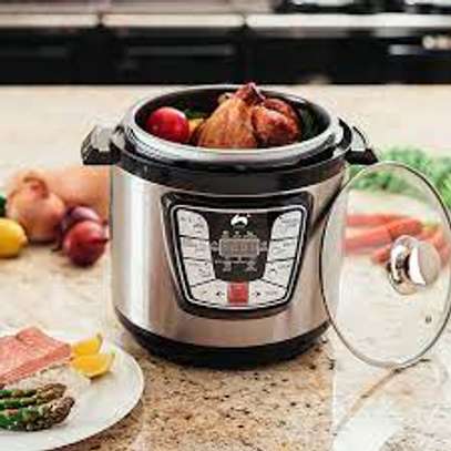 Electric Multifunctional Pressure Cooker 6ltrs With Timer image 2